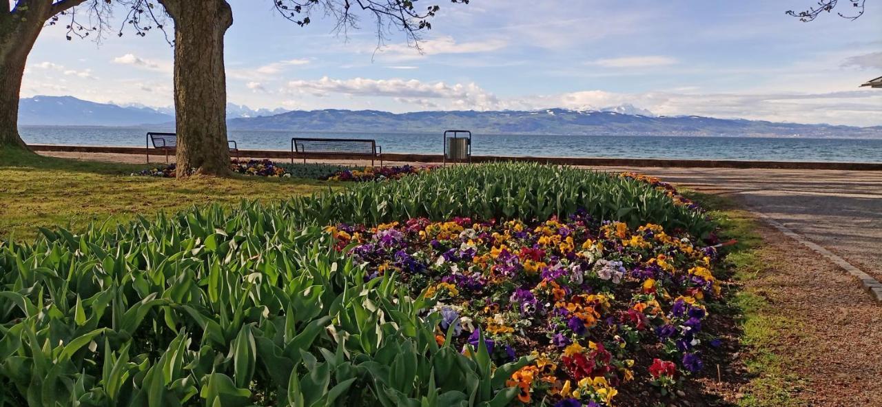 Bodensee Apartments Kressbronn "Haus Am Seepark" Kressbronn am Bodensee Exteriör bild